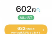 【画像】PayPayすごすぎワロタwwwww wwwww wwwww wwwww wwwww wwwww