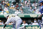 自打球交代の阪神近本、井上ヘッドの「明日休め」に「いやいや勘弁してください。明日も行かせてください」