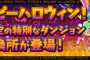 【パズドラ】余った虹袋は今日だけスーパーノエルと交換できるぞ