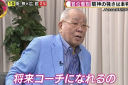 堂林翔太 .282 13HR 39打点 盗塁12失3 OPS.831