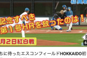 日ハム紅白戦のハイライト動画、半日で38万再生ｗｗｗｗｗｗｗｗ