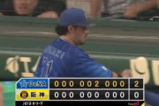 ベイスターズ 2－0 タイガース　宮﨑決勝2ランHR！吉野光樹6回ノーノーの好投！
