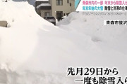 青森県「雪ほんまヤバイわ！除雪業者集まれ！」 業者「すまん、人手不足やｗ」