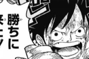 【悲報】ワンピ尾田が「ロギア系統」の倒し方が思い付かないから覇気を導入したと言う事実ｗｗｗ