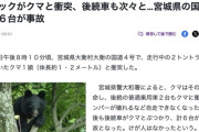 【宮城】国道４号でトラックがクマと衝突、後続車も次々と衝突し６台が事故