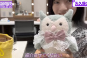 いきなりぬいぐるみ紹介を始める林瑠奈ちゃんワロタｗｗｗ【乃木坂46】
