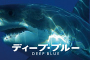 史上最高のサメ映画がディープブルーだという風潮ｗｗｗｗｗｗｗｗｗｗｗｗｗｗｗ