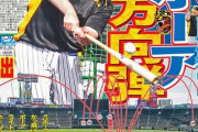 【バース】阪神ボーア、「やっぱりバースやん！」「ブラゼルの再来や！」
