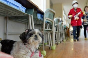 避難所に「ペットと同伴」の必要性を改めて考える　過去には受け入れ断られペットと自宅で津波に遭った例も