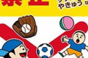 【画像悲報】母親「子供のボール遊び程度で近所から苦情…酷いですよね…」