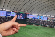 惣田紗莉渚、WBC見てないのになぜか過去野球画像で便乗投稿