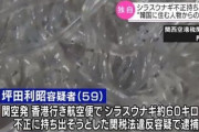【韓国の反応】シラスウナギ、不正持ち出し ... 韓国から指示か？
