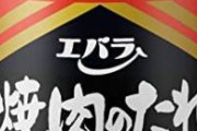 なんか今エバラのタレで無双するアニメ見てるけどさ