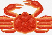 アラスカ周辺のズワイガニ、数十億匹が姿消す　科学者「海水温の上昇がズワイガニの餓死を引き起こしている公算が大きい」