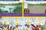 アメリカザリガニを池に放った結果がやばい