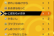 ポケモンて持ち物見えてた方が面白いよな