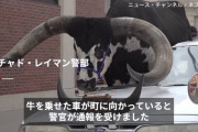 【牛】アメリカ人、車の助手席にとんでもないものを乗せるｗ