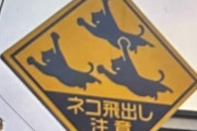 外国人「日本にネコの標識があったんだが何て書いてあるの？？」