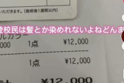 【悲報】TikTok民　不登校が多すぎて｢登校民｣という言葉でマウントとりだすｗｗｗｗｗｗｗｗｗｗ