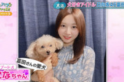 【日向坂46】富田鈴花の愛犬になちゃん、NHKデビュー！