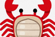 【衝撃】福井県民は学校でカニの食べ方を習うらしいｗｗｗｗｗｗｗ