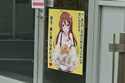 二郎系ラーメンを好むデブのキモオタってこんな絵に釣られてブヒブヒ言いながら食うわけ？（※画像あり）
