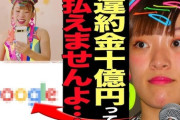 【衝撃】フワちゃん、グーグルCMの違約金だけでも10億円になる模様