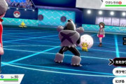 【悲報】ワイポケモン対戦初心者、まず何をすればいいのかさえ分からず泣く