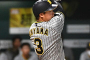 夏の大山（神）.550(20-11) 5本 12打点 出塁率 .609 OPS 2.009