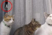 【動画】窓からひょっこり顔が出てくる心霊映像、覚えてる奴おる？
