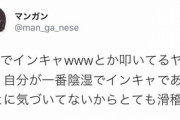 【悲報】Twitter民「2chのインキャ叩きってブーメランだよな。あんなところ普通の人間は見ないし」