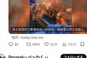 台湾人「北海道旅行でいけすの６万円の生きたタラバガニ選んだのに冷凍物に替えられてた」→台湾で炎上