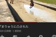 【迷惑系】へずまりゅう、ナンパした医療従事者の女性にコロナを伝染させてしまう・・・
