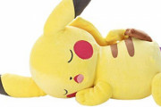 【画像】20年間大事にされてきたピカチュウのぬいぐるみが話題に