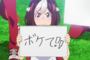 【ウマ娘】ユーザーさんのレビュー「楽しかったのは最初だけ」