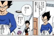【悲報】ベジータ、完全に丸くなってしまう