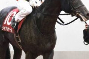 【ジャパンカップ】”ダービー馬“シャフリヤールの評価って