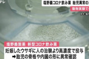 【悲報】塩野義製薬の新型コロナ飲み薬､動物実験で胎児異常