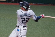 西武スパンジェンバーグ 打率.250(28-7) 1HR