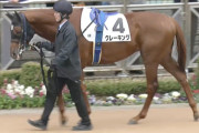 【競馬予想】第30回ユニコーンステークス(G3) / 2025