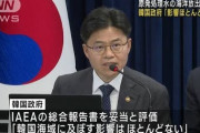 【正論】韓国人科学者「IAEA最終報告書を巡る批判、遺伝子検査で99.9％の親子確認が出ても信じないのと同じですよ」←これ韓国政府どうするの？?