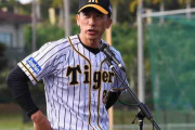 阪神・矢野監督「楽しみがある」ボーア、サンズが特打で快音