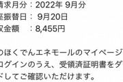 【画像】一戸建てオール電化電気代請求がこちら！！