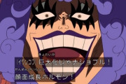 「ワンピース」の登場人物で強さがイマイチ分からないキャラｗｗｗｗ