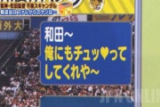 三大・地味監督だったのにネタキャラになってしまった人　和田、真中