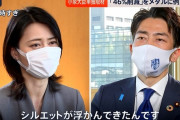 日本、温室効果ガスを2030年度までに「46％削減」→数字の根拠は小泉の思いつきと判明