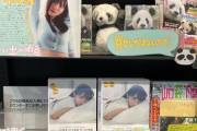 【日向坂46】書店で写真集を買う面白さwwwwwwwww