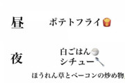 【SKE48】野村実代はご飯にシチューありな人？