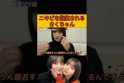 【遠藤さくら】ニキビを指摘されるさくちゃん/文字起こし（乃木坂46・のぎおび）#遠藤さくら#乃木坂46#のぎおび#shorts