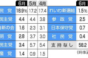 参院比例投票先、国民民主が急落　自民、24％へアップ　時事世論調査